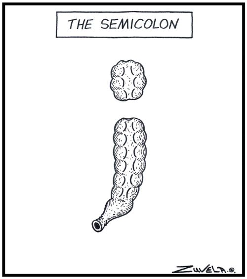 The Semicolon A Colon in the form of a Semicolon