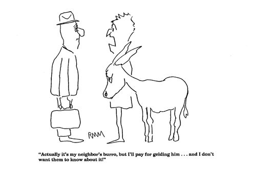 'Actually it's my neighbor's burro, but I'll pay for gelding him...I don't want them to know about it.
