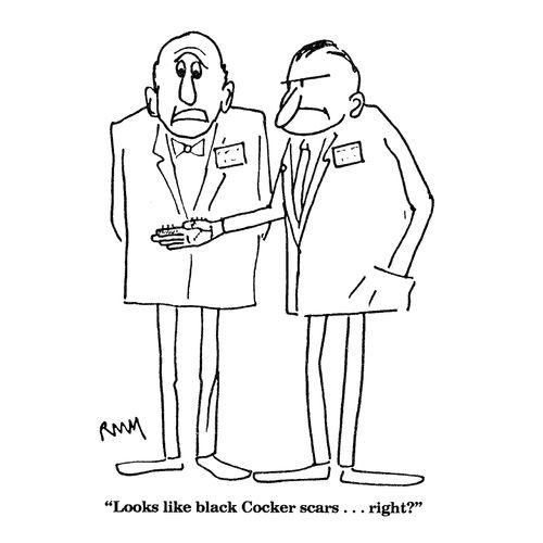 'Looks like black Cocker scars...right?'
