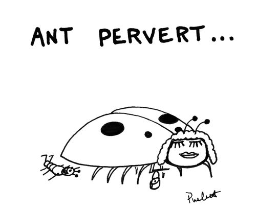 Ant looking up ladybird's skirts.