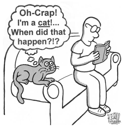 'Oh-Crap! I'm a cat!... When did that happen?!?'