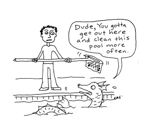 "Dude, you gotta get out here and clean this pool more often."