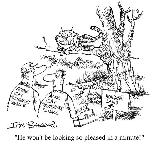 "He won't be looking so pleased in a minute!"
