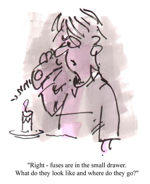 "..Fuses are in small drawer...what do they look like and where do they go?"