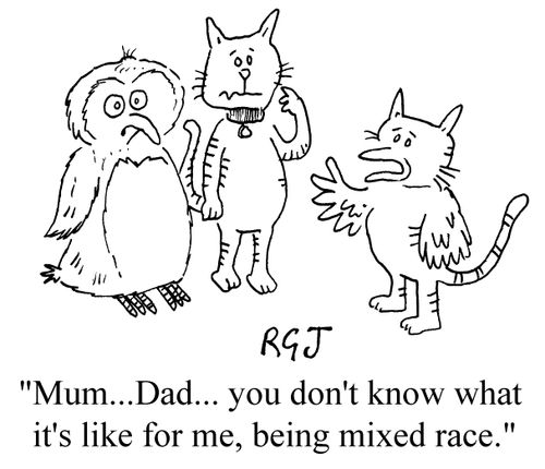 "Mum, Dad, You don't know what it's like for me, being mixed race"
