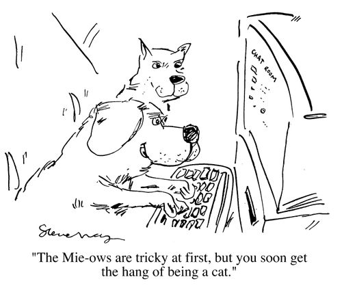 Chat room "The mie-ows are tricky at first, but you soon get the hang of being a cat"