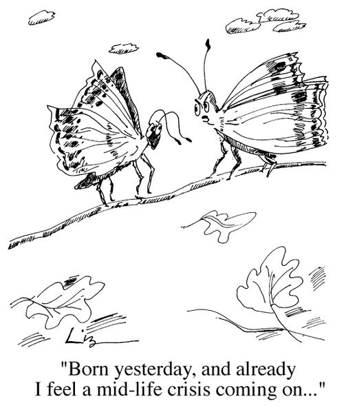 "Born yesterday and already I feel a mid-life crisis coming on..."