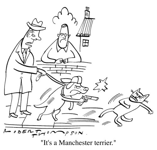 "It's a Manchester Terrier."