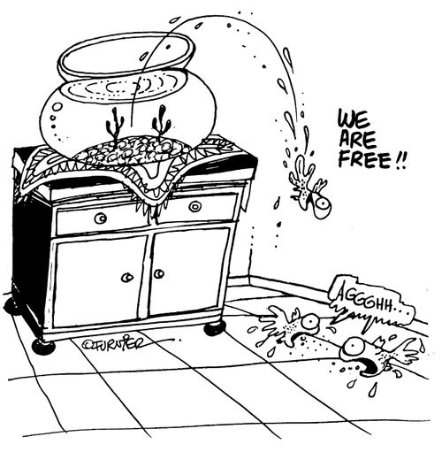 Goldfish jumping out of a fish bowl declaring 'We are free' and then dying on the floor