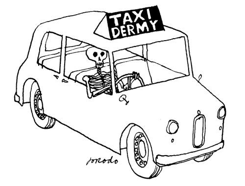 Taxi Dermy