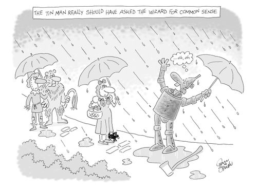 The Tin Man really should have asked the wizard for common sense.