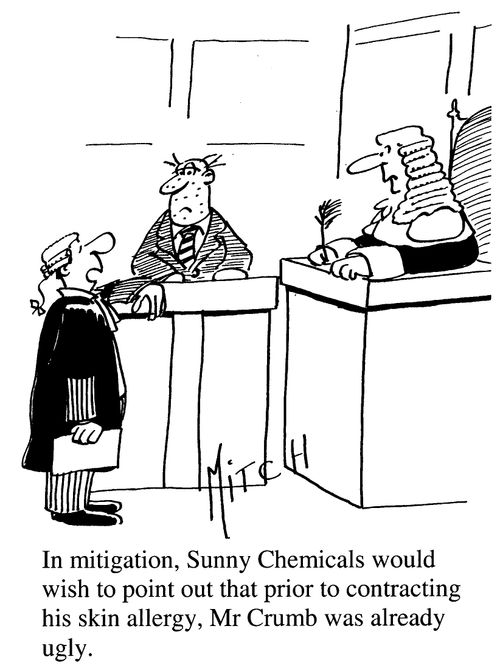 "In mitigation, Sunny Chemicals would like to point out that prior to contracting his skin allergy, Mr Crumb was already ugly."