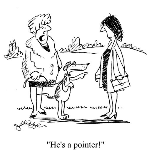 'He's a pointer!'