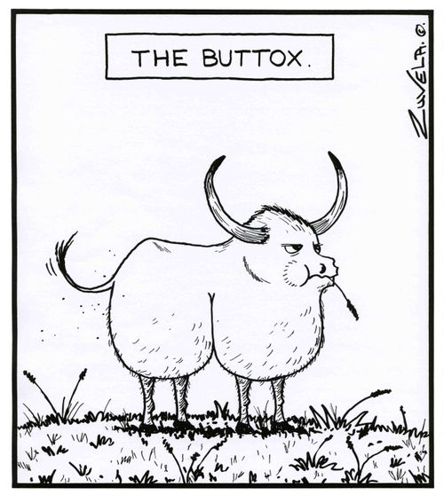 The Buttox.