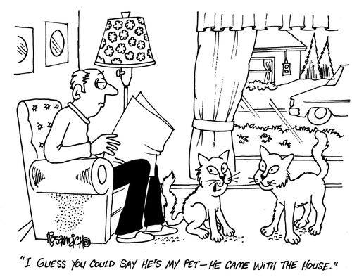 'I guess you could say he's my pet - he came with the house.'