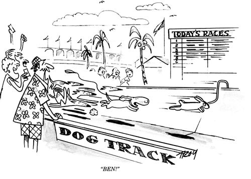 Dog track - 'Ben!'