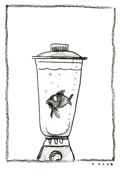 Goldfish in a blender.