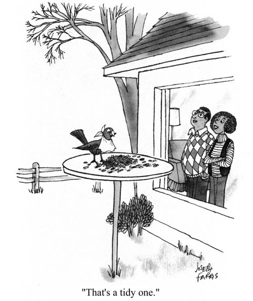 'That's a tidy one.'