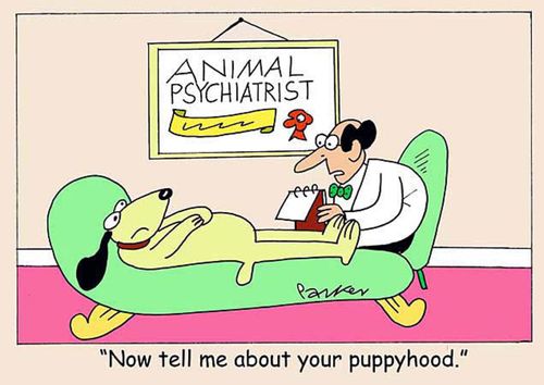 'Now tell me about your puppyhood.'
