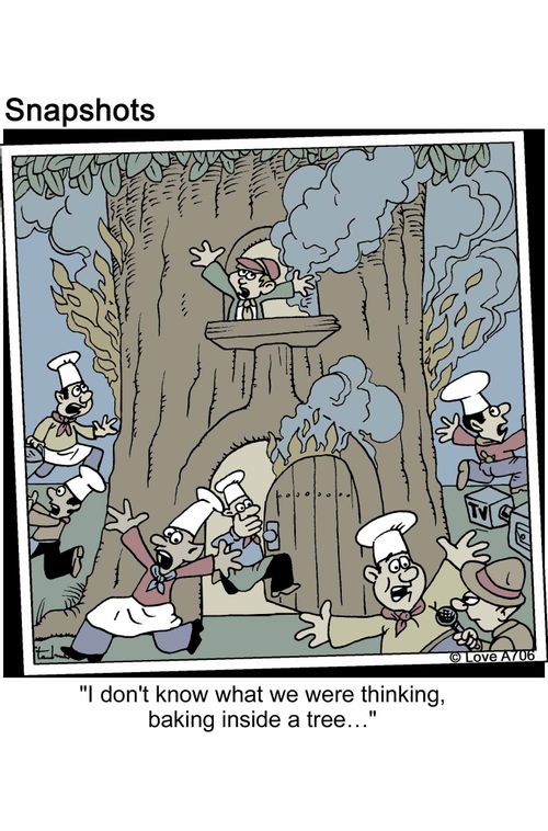 'I don't know what we were thinking, baking inside a tree...'