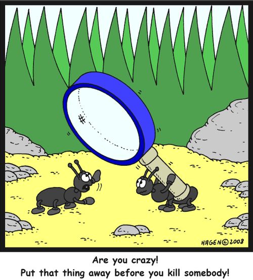 'Are you crazy! Put that thing down before you kill somebody!'