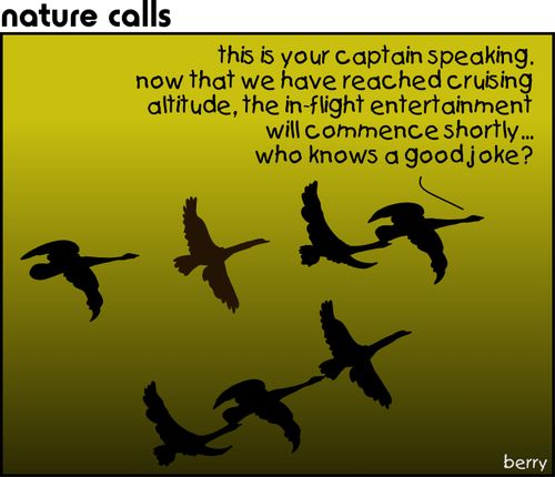 "This is your captain speaking, now that we have reached cruising altitude, the in-flight entertainment will commence shortly...who knows a good joke?"