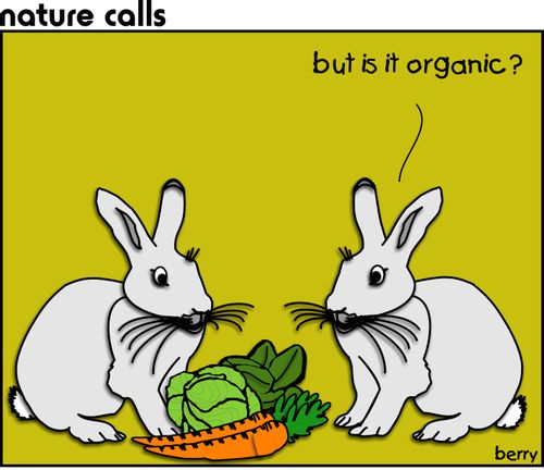 "But is it Organic?"