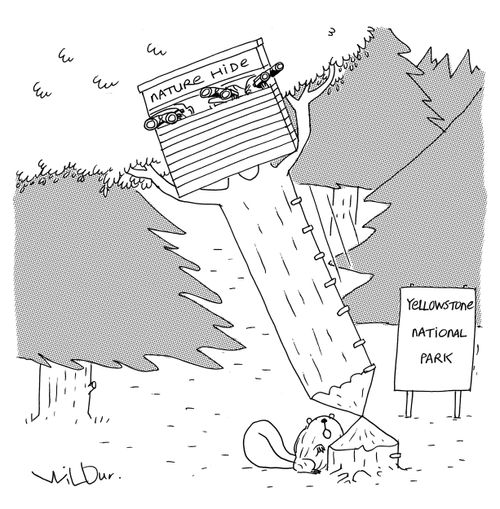 Nature Hide.