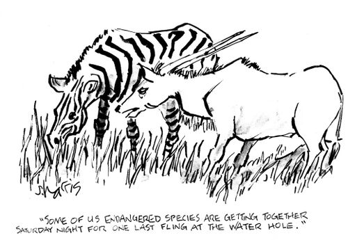 'Some of us endangered species are getting together Saturday night for one last fling at the water hole.'