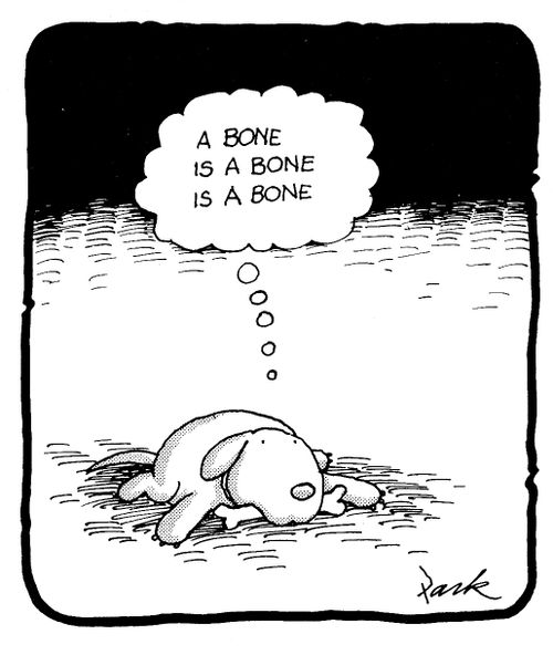 'A bone is a bone is a bone...'