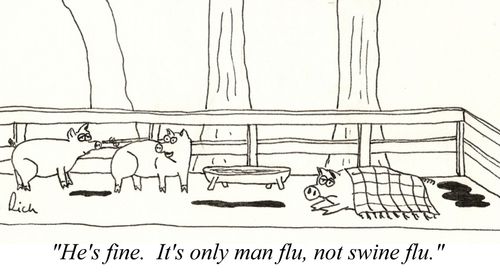 'He's fine, it's only man flu not swine flu.'