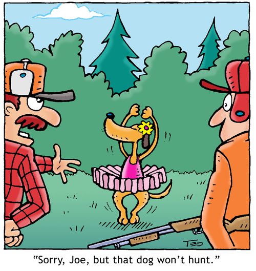 'That dog won't hunt.' Bird dog in a pink tutu.