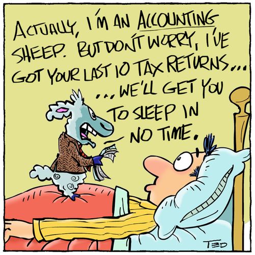 Accounting Sheep.