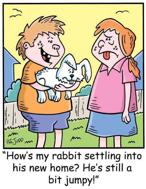 'How's my rabbit settling into his new home? He's still a bit jumpy!'