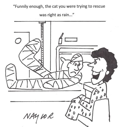 'Funnily enough, the cat you were trying to rescue was right as rain...'