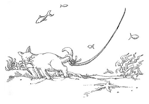 101 uses of a dead cat: bait