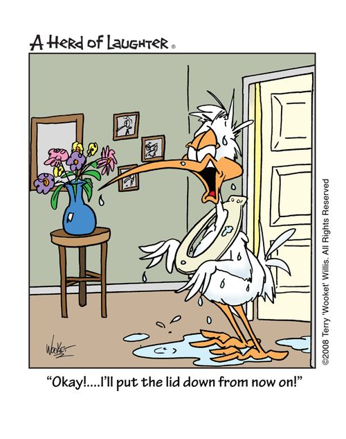 'Okay!...I'll put the lid down from now on!'