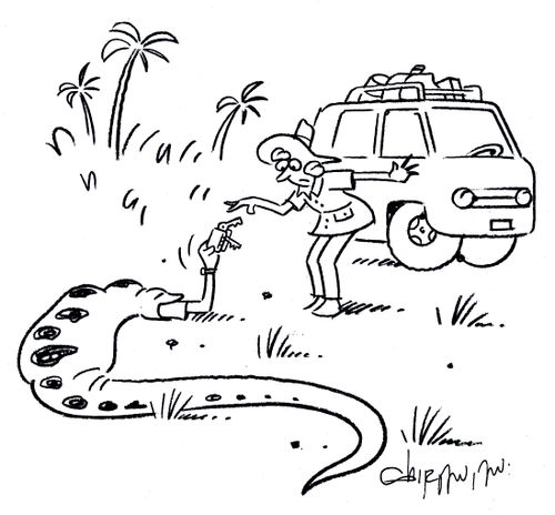 Woman taking keys of her husband who has been eaten by a snake.