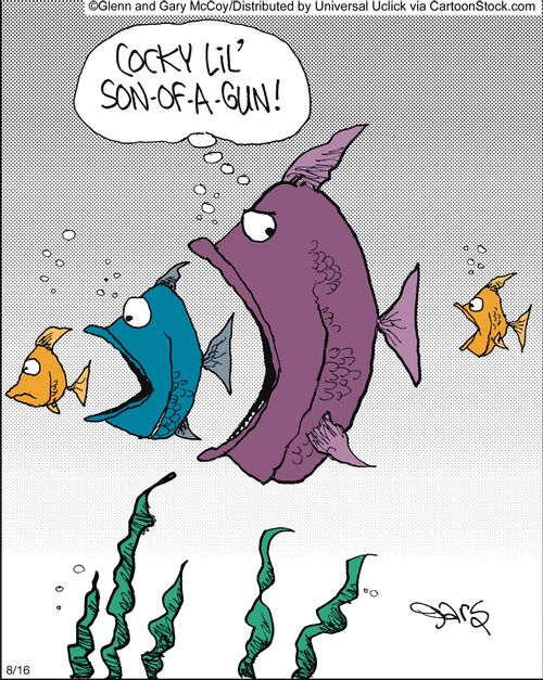 'Cocky lil' son-of-a-gun!'