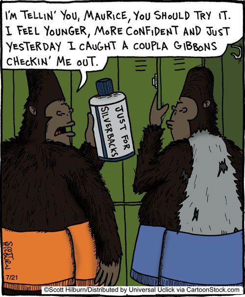 'I'm tellin' you, Maurice, you should try it. I feel younger, more confident and just yesterday I caught a coupla gibbons checkin' me out.'