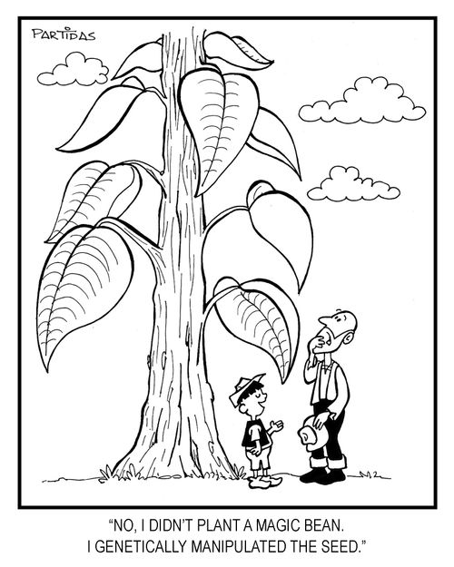 "No, I didn't plant a magic bean. I genetically manipulated the seed."