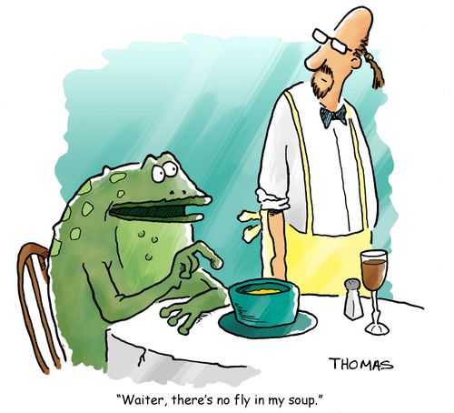 'Waiter, there's no fly in my soup.'