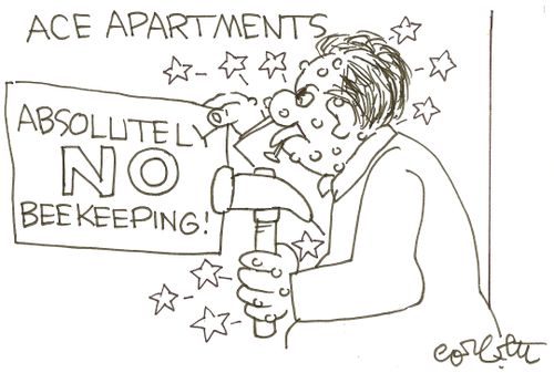 Ace Apartments: Absolutely NO beekeeping!