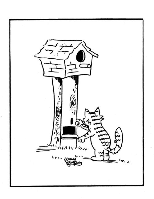 Cat at birdhouse vending machine.