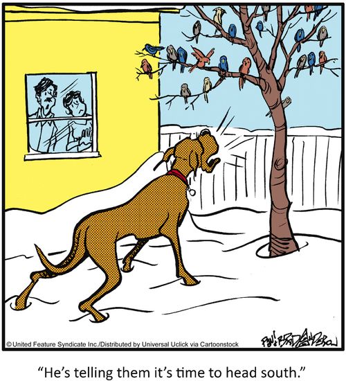 'He's telling them it's time to head south.'
