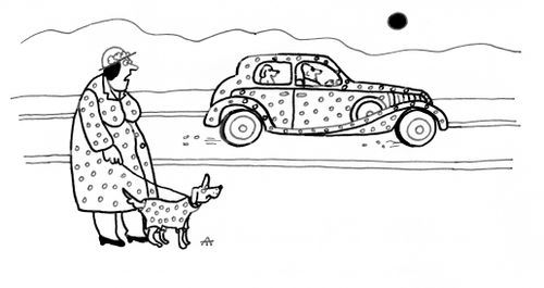 Fashionable Spots.