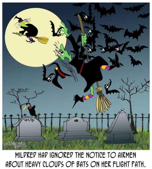 Mildred had ignored the notice to airmen about heavy clouds of bats on her flight path.