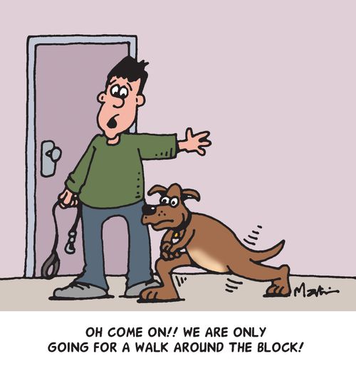 'Oh come on!! We are only going for a walk around the block!'