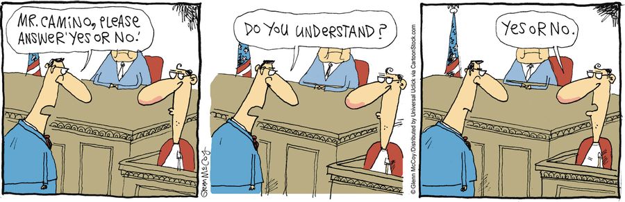 'Do you understand?'