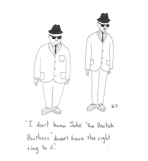 'I don't know Jake 'The Bartok Brothers' doesn't have the right ring to it.'